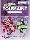 Spécial toussaint