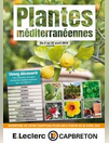 Plantes méditerranéennes