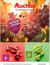 Autour du raisin