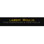 logo Laurent Moulin