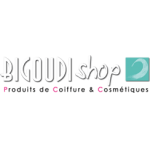 logo Bigoudi shop Six Fours les plages