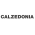 logo Calzedonia