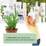 logo Aloé Vera Beauty - Valérie Saï