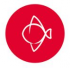 logo Matsuri