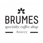 logo BRUMES