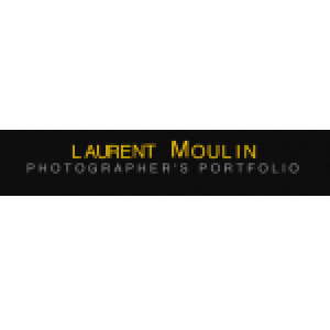 Laurent Moulin