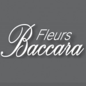 Baccara