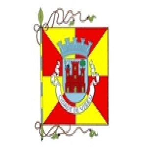 Câmara Municipal de Viseu
