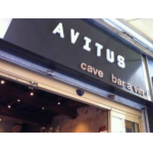 Avitus la cave