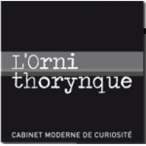 L'Ornithorynque