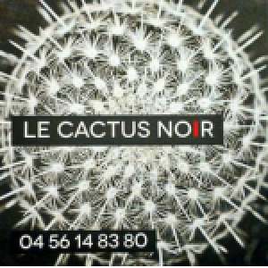 Le Cactus Noir