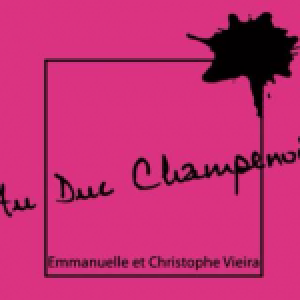 Au Duc Champenois 