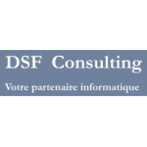 DSF Consulting
