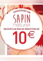 Choisissez un sapin naturel et recevez un bon de réduction de 10€ - Jardiland