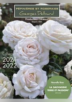 Delbard Collection 2021-2022 - Delbard