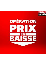 Prospectus Brico D&eacute;p&ocirc;t : Operation prix en baisse