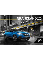 Promos et remises  : Opel Grandland X