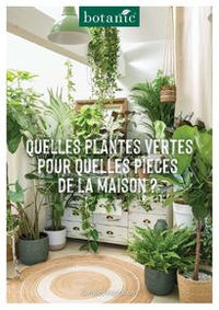 Prospectus botanic Suresnes : Quelles plantes vertes por quelles pièces de la maison?