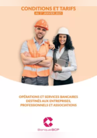 OPÉRATIONS ET SERVICES BANCAIRES DESTINÉS AUX ENTREPRISES, PROFESSIONNELS ET ASSOCIATIONS - Banque BCP