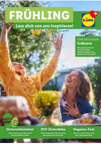 Prospectus Lidl Brig : Frühling - DE