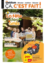 Prospectus  : La fête des amis