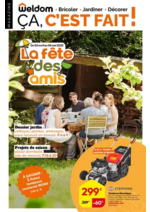 Prospectus  : La fête des amis