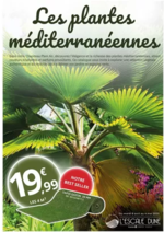 Prospectus E.Leclerc : plantes méditerranéennes