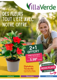 Prospectus Villaverde BRIOUDE : Des fleurs tout l'été avec notre offre...