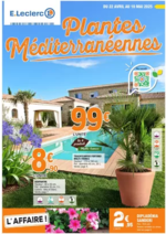 Prospectus E.Leclerc : PLANTES MEDITERRANEENNES