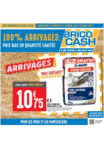 Prospectus Brico Cash : Venez profitez des nouveaux arrivages Brico Cash !