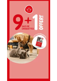 Prospectus Médor et compagnie Vandoeuvre : 9 + 1 offert