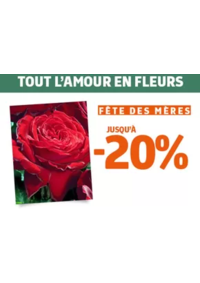 Prospectus Jardiland ORANGE : Notre offre végétal spéciale fête des mères