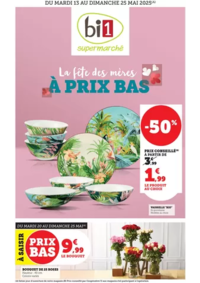 Prospectus bi1 AILLANT-SUR-THONON : Catalogue Bi1