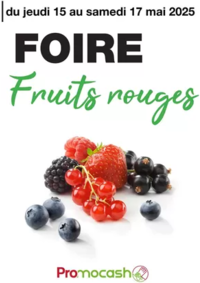 Prospectus Promocash Caudan : Fruits rouges