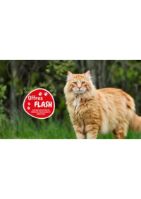Prospectus Médor et compagnie Vandoeuvre : Les offres FLASH