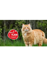 Promos et remises  : Les offres FLASH