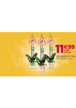 Prospectus Delbard : Les promotions sont là !