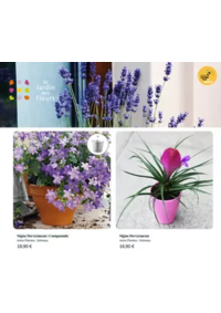 Prospectus Le Jardin des Fleurs BOURG EN BRESSE KREUZNACH : Astro Plantes : Gémeau