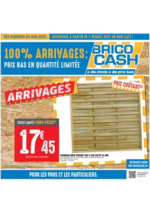 Prospectus  : C’est l’anniversaire Brico Cash, venez en profiter !