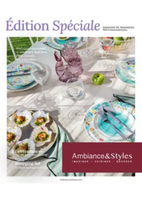 Prospectus Ambiance & styles  HAGUENAU 81 Grand'Rue : Édition Spéciale