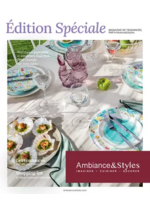 Prospectus Ambiance et styles : Édition Spéciale