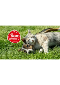 Prospectus Médor et Compagnie Saint Martin d’Hères : Les soldes sont là !!