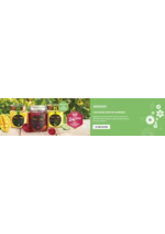 Promos et remises  : Nouvelle Offres