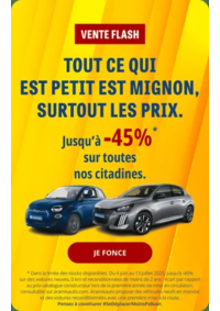 Prospectus Aramis Montpellier : Vente Flash