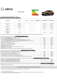 Prospectus Nissan ROTS : Nissan ARIYA