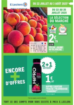 Prospectus E.Leclerc : TRAFIC POUVOIR ACHAT 9 - MIXTE