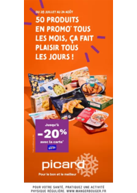 Prospectus Picard HENIN BEAUMONT : Catalogue Picard