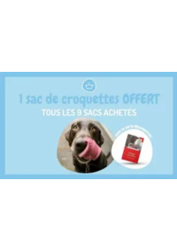 Prospectus Médor & Compagnie Saint-Gervais-la-Forêt : 9 sacs de croquettes ou de litière achetés, le 10ème offert