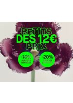 Prospectus Darjeeling : Découvrez notre sélection dès 12€ ! Bénéficiez de -10% supp. dès 2 articles et -20% supp. dès 3 !
