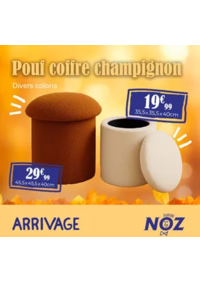 Prospectus Noz Proville : Pouf coffre champignon